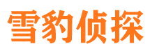 合肥市侦探公司